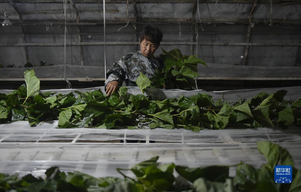 中大奖注册网址